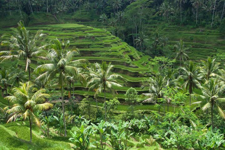 Bali, Indonesia
